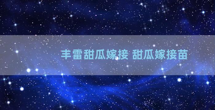 丰雷甜瓜嫁接 甜瓜嫁接苗